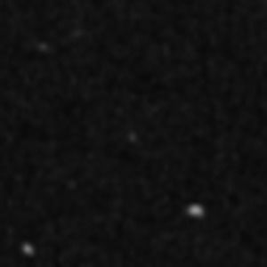 Meet your Posher, Jess